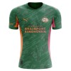 Maillot de Gardien PSV Eindhoven 2025-26 Verte Pour Homme
